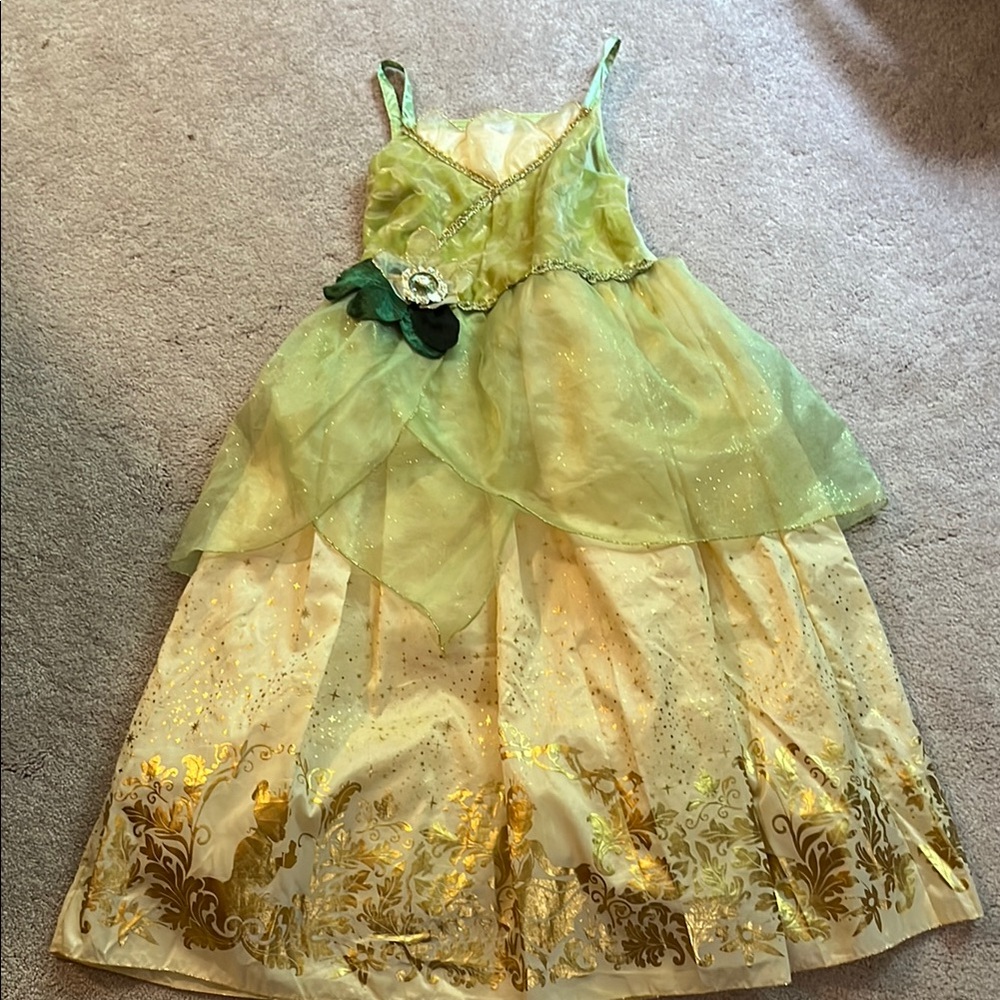 Princess Tiana Dress